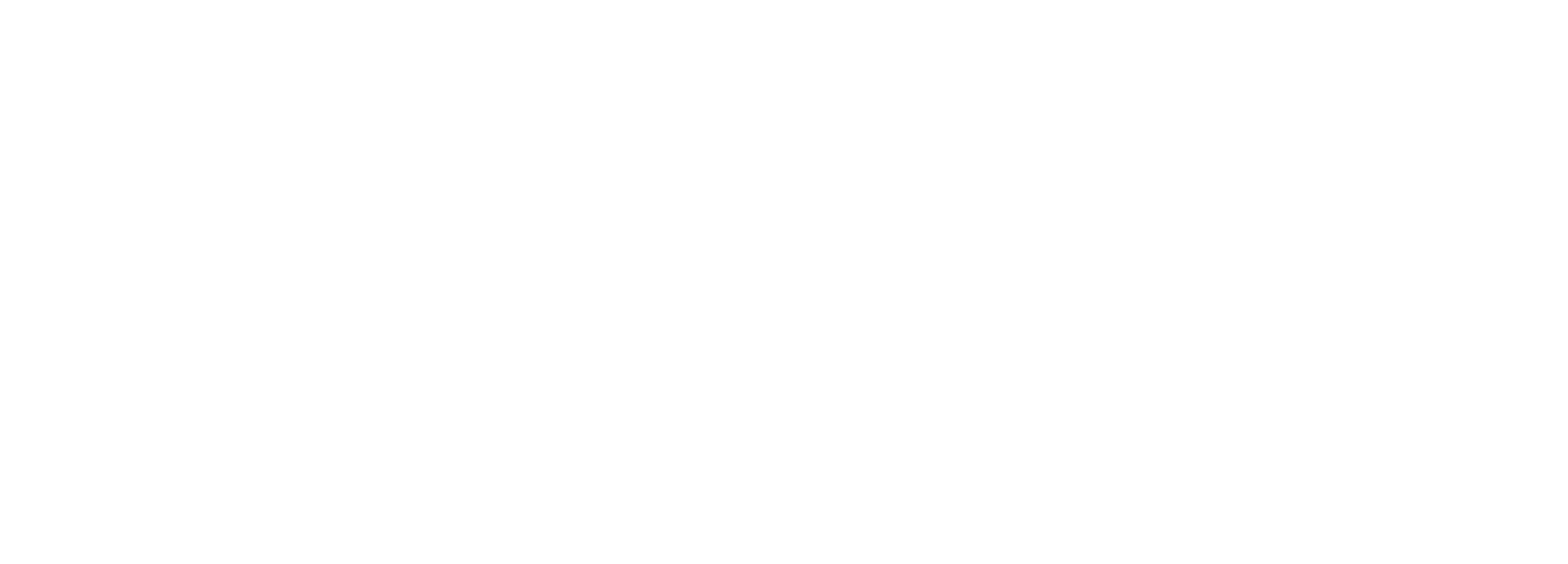 Logo Stories Blanco 1